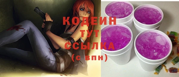 СК Няндома