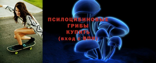 СК Няндома
