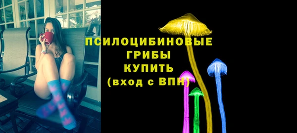 ALPHA-PVP Гусев