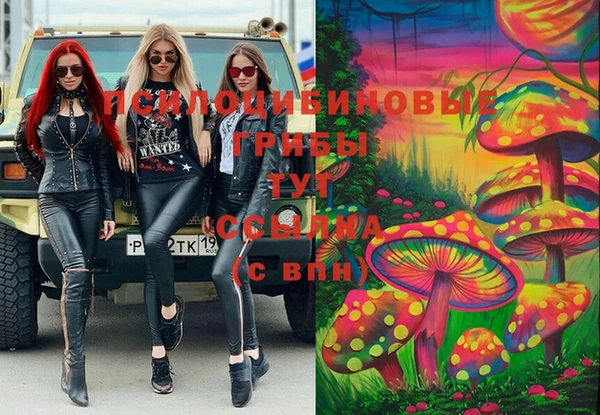 СК Няндома