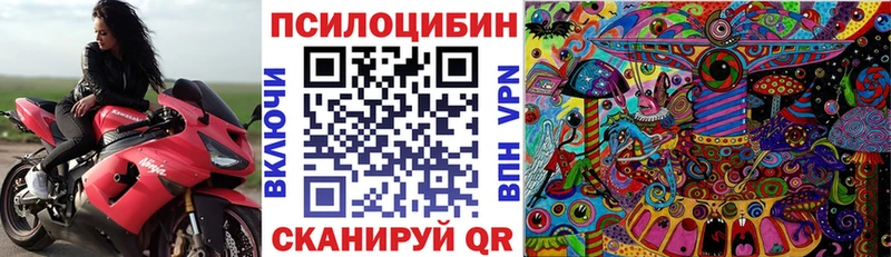 Псилоцибиновые грибы Cubensis  Плавск 
